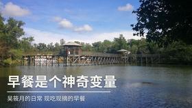 全民剧本大师内置菜单