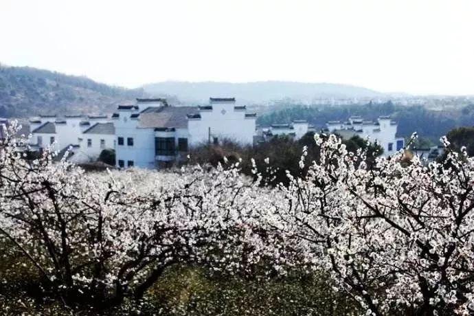 美图秀秀下载2023最新版