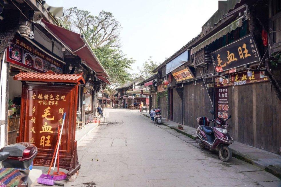 动物帮帮忙保卫家园