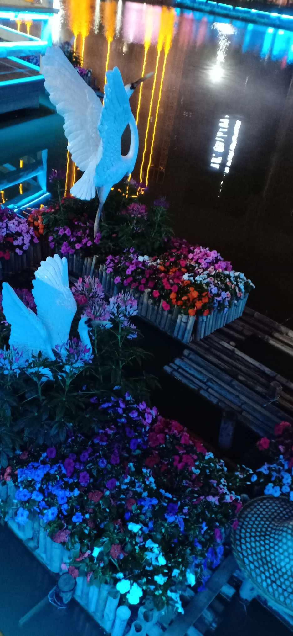 沪江开心词场